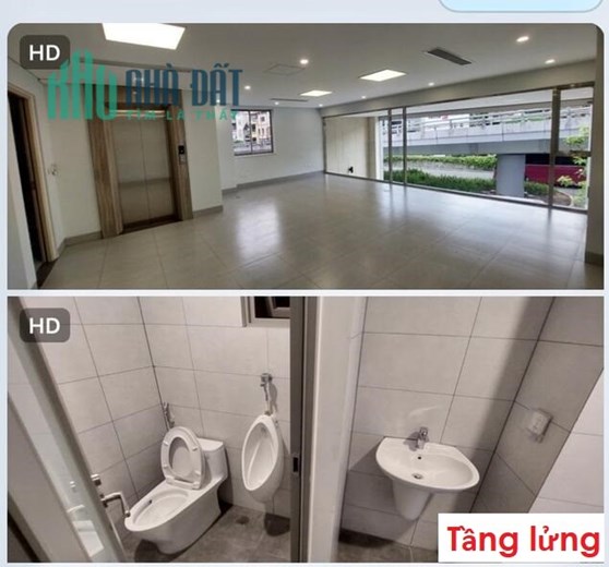 ⭐Cho thuê văn phòng, cửa hàng, Siêu thị, TT tiếng anh, phòng khám tại Nghi Tàm, Tây Hồ; 0982616572