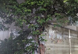 Bán nhà Tân Phú - Dương Đức Hiền - lô góc - 61m2 - HXH - giá 7 tỷ nhỉnh.