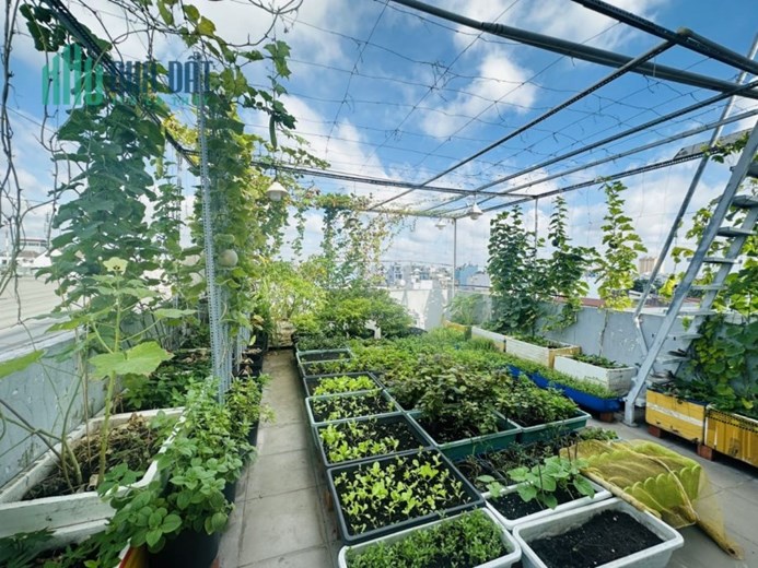 Có Visa định cư Úc bán gấp nhà 90m2 4 tầng ngang 5 hẻm nhựa 8m Tân Hòa Đông Bình Tân chỉ 8,5 tỷ TL.