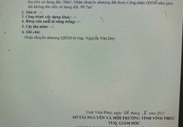 ĐẤT ĐẸP - GIÁ TỐT - Cần Bán Lô Đất Tại Xã Hoàng Đan, Huyện Tam Dương, Tỉnh Vĩnh Phúc