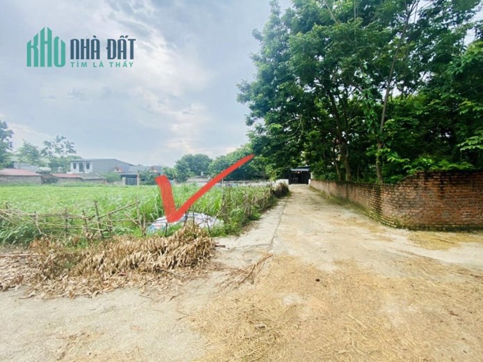 ĐẤT ĐẸP - GIÁ TỐT - Cần Bán Lô Đất Tại Xã Hoàng Đan, Huyện Tam Dương, Tỉnh Vĩnh Phúc