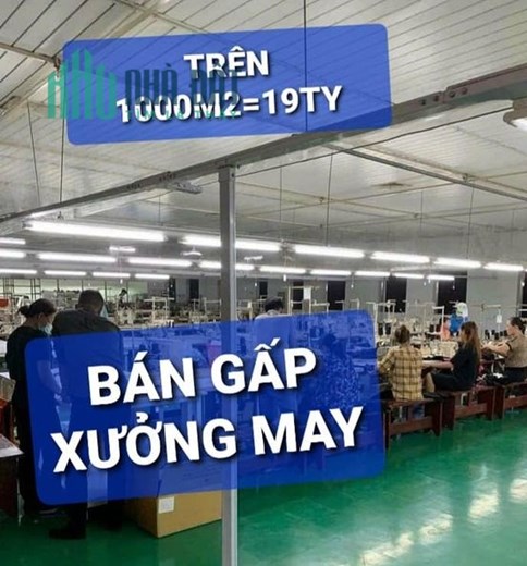 Bán Gấp Xưởng trên 1000m2 Nhị Bình Hóc Môn TPHCM có 19 tỷ x