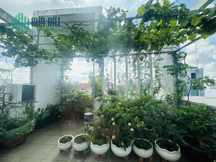 Giải quyết việc gấp bán nhà Tân Hòa Đông ngang 8 dài 17 3 tầng chỉ 7,9 tỷ còn TL.