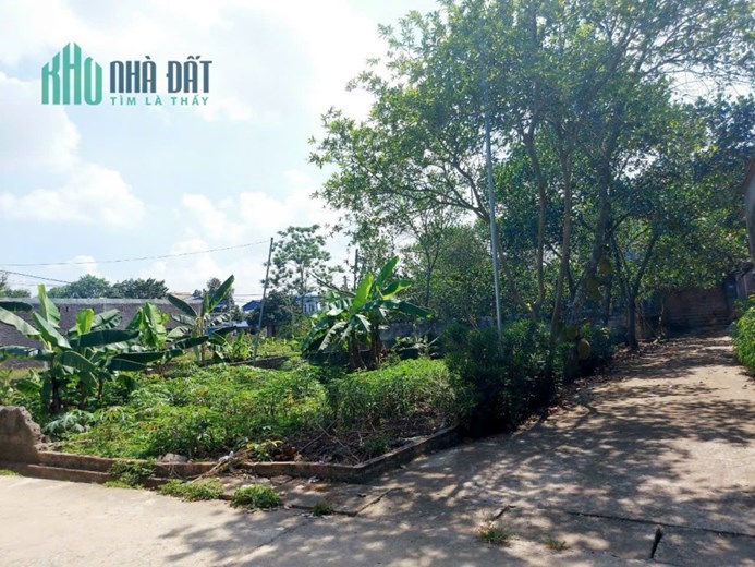 CẦN BÁN GẤP LÔ GÓC, TRỤC CHÍNH THÔN Ở TÂN XÃ GIÁ ĐẦU TƯ HƠN 2 TỈ