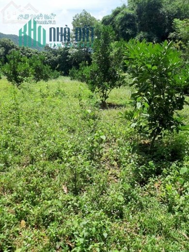 Bán gần 900m2 đất Chương Lộc, Chương Dương thuận tiện làm kho xưởng.