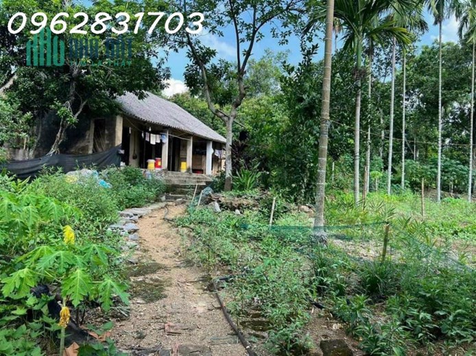 Bán nhanh lô đất 1400m có hơn 1000m đất ở- có ao cá giá chỉ hơn 1 tỷ - làm việc chính chủ