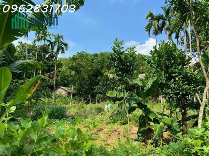 Bán nhanh lô đất 1400m có hơn 1000m đất ở- có ao cá giá chỉ hơn 1 tỷ - làm việc chính chủ