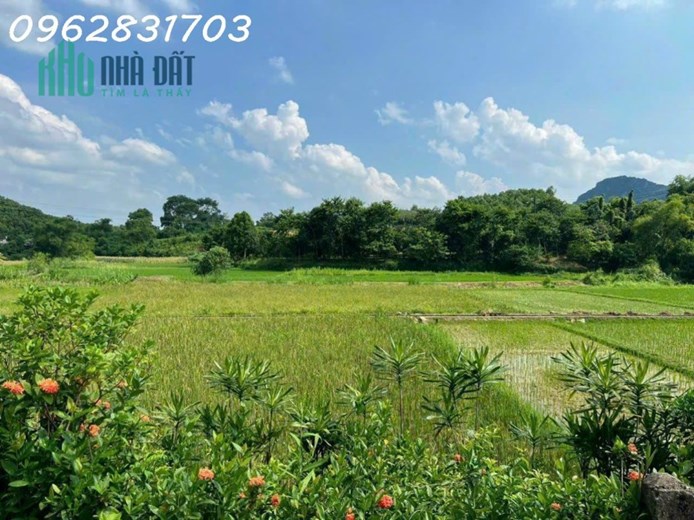 Bán nhanh lô đất 1400m có hơn 1000m đất ở- có ao cá giá chỉ hơn 1 tỷ - làm việc chính chủ