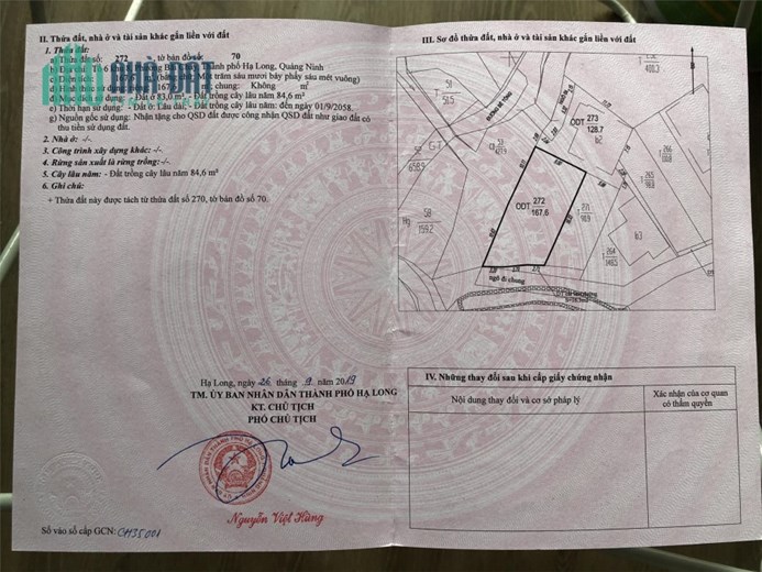 ĐẤT ĐẸP - GIÁ TỐT - VỊ TRÍ TIỀM NĂNG Tại Khu 8, Phường Bãi Cháy, TP Hạ Long - Quảng Ninh