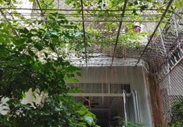 Cho thuê nhà nguyên căn sân rộng, nở hậu – P.11, Phú Nhuận