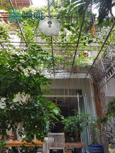 Cho thuê nhà nguyên căn sân rộng, nở hậu – P.11, Phú Nhuận