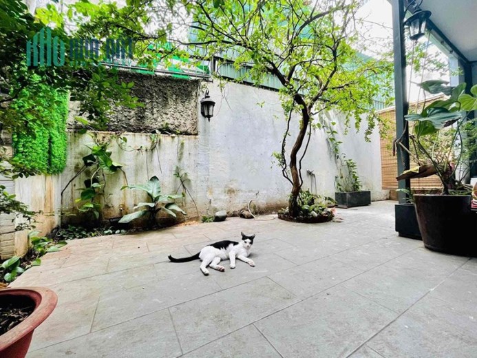 Cho thuê nhà nguyên căn sân rộng, nở hậu – P.11, Phú Nhuận