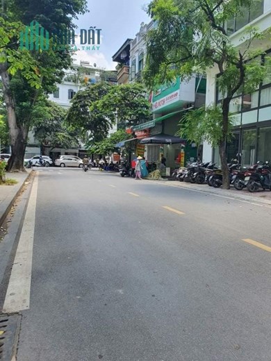 BÁN NHÀ HOÀNG CẦU, PHÂN LÔ, Ô TÔ, KINH DOANH, 60M2 4T MT5M, GIÁ 12.3 TỶ
