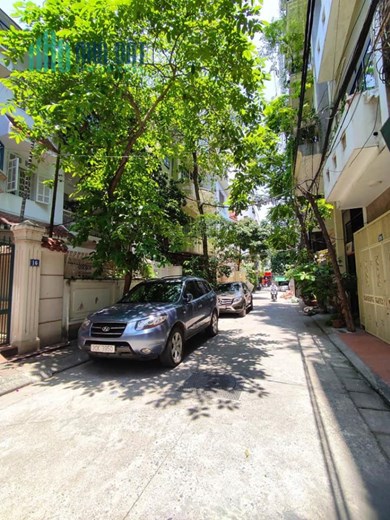 BÁN BIỆT THỰ CÁT LINH, Ô TÔ TRÁNH, BA THOÁNG, 100M2 4T MT7.5M, GIÁ 16.5 TỶ