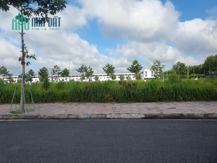bán đất mặt tiền trục thương mại giá 1ty550 tại bàu bàng
