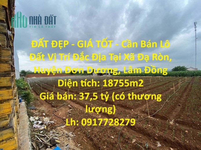 ĐẤT ĐẸP - GIÁ TỐT - Cần Bán Lô Đất Vị Trí Đắc Địa Tại Xã Đạ Ròn, Huyện Đơn Dương, Lâm Đồng