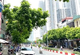 Bán mảnh đất hiếm phố Vạn Phúc, Hà Đông, 190m2, ô tô kinh doanh, nhỉnh 20 tỷ