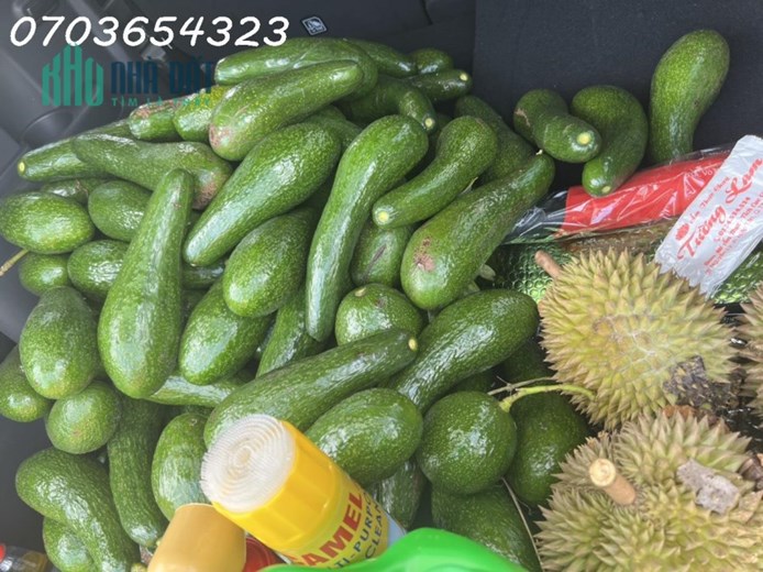 Cần tiền bán đất xã Tân Lạc, Bảo Lâm, Lâm Đồng, vườn cây trái xum xuê, view nhìn núi