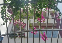Chính Chủ Cho Thuê Nhà Mặt Đường
