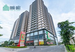 BÁN GẤP CHDV ĐƯỜNG NGUYỄN THỊ THẬP, 5 TẦNG, THANG MÁY, DÒNG TIỀN HƠN 150TR/THÁNG