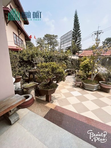 Giảm giá bán gấp Biệt thự ngay trung tâm Đà Lạt giá tốt Đường Lê Hồng Phong giá chỉ 21.5 tỷ