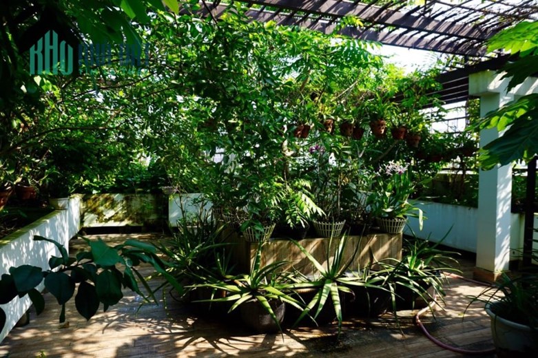 Biệt Thự Tân BÌnh, Nguyễn Trọng Tuyển, 160m2, 5 tầng, hồ bơi, giảm sâu 2 tỷ(TL)