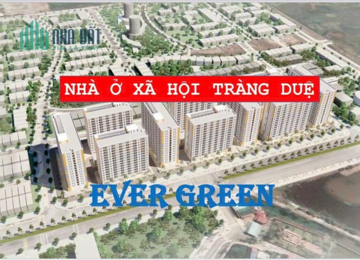 1 KĐT hiện đại và đồng bộ. sản phẩm mới được mang tên “ EVERGREEN TRÀNG DUỆ” AN DƯƠNG – HẢI PHÒNG.