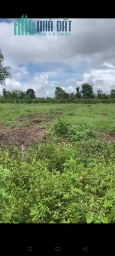 ĐẤT ĐẸP - GIÁ TỐT - Cần Bán Lô Đất Vị Trí Đắc Địa Tại Xã Bờ Ngoong, Huyện Chư Sê, Tỉnh Gia Lai