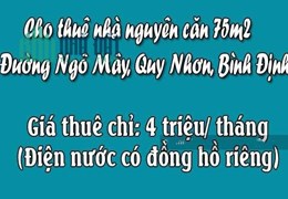 Cho thuê nhà nguyên căn 75m2 Đường Ngô Mây, Quy Nhơn, Bình Định
