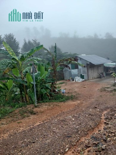 Chính Chủ Cần Bán Đât CLN 8.000m2 Tại Xã Rô Men – Huyện Đam Rông – Tỉnh Lâm Đồng.