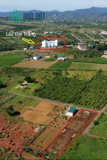 💯Bán đất thổ cư shr rẻ nhất thị trường trên Bảo Lộc Lâm Đồng.
5x20=100m2 chỉ 400tr