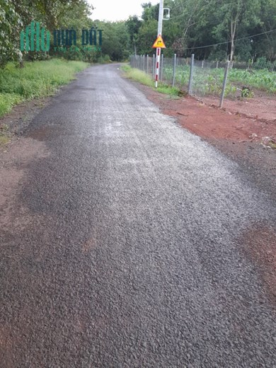 Ra Gấp Lô Đất 1500m2 Thuộc Thôn 6, Xã Long Hà, Huyện Phú Riềng, Tỉnh Bình Phước