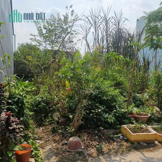 Bán Nền Kế Bên KDC Hàng Bàng - Ninh Kiều - TP. Cần Thơ