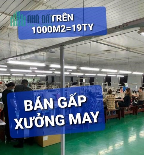 Gấp Xưởng trên 1000m2 Nhị Bình Hóc Môn  có 19 tỷ x