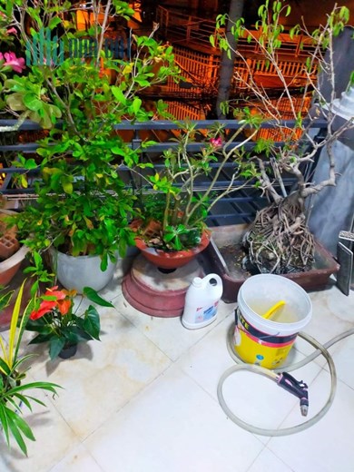 BÁN NHÀ HẺM 793 TRẦN XUÂN SOẠN, ĐƯỜNG Ô TÔ, 4X20 - 3 TẦNG, NHỈN 7 TỶ.