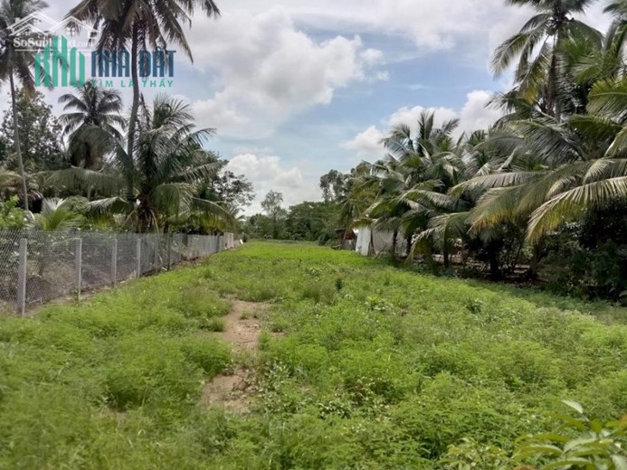 BÁN ĐẤT CHÍNH CHỦ GÒ DẦU TÂY NÌNH 364m²/1,2 TỶ. BAO SỔ-CÓ THƯƠNG LƯỢNG