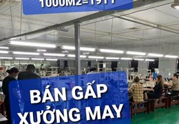 Bán Gấp Xưởng trên 1000m2 Nhị Bình Hóc Môn TPHCM có 19 tỷ x