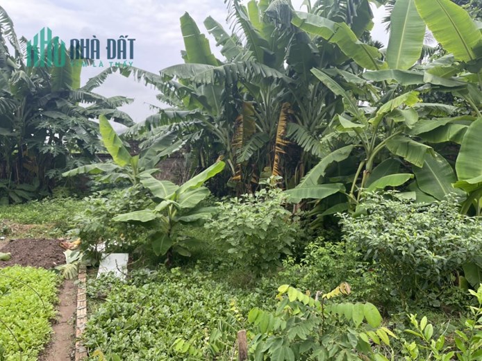 Chỉ với hơn 1 tỷ Anh chị đã có ngay mảnh đất 50,6m2 + thêm 10m2 đất ko có trong sổ Tại Đông Anh HN