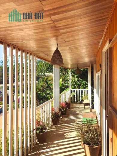 SANG HOMESTAY  đường Ankroet, Phường 7 TP.Đà Lạt