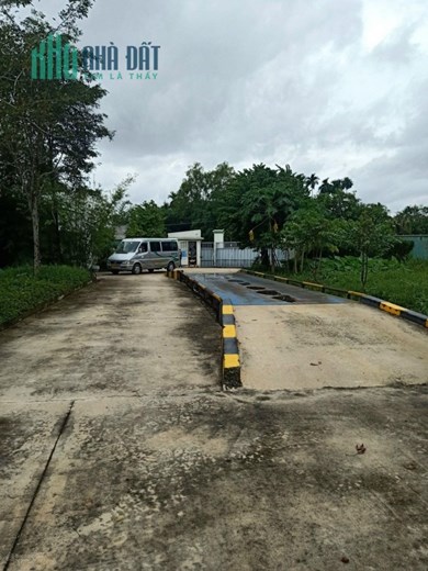 Bán đất, nhà xưởng 6,000m2, vào hoạt động được ngay