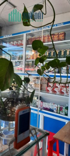 CHÍNH CHỦ CẦN SANG NHƯỢNG LẠI NHÀ THUỐC ĐỊA CHỈ: quận 7, Thành phố Hồ Chí Minh