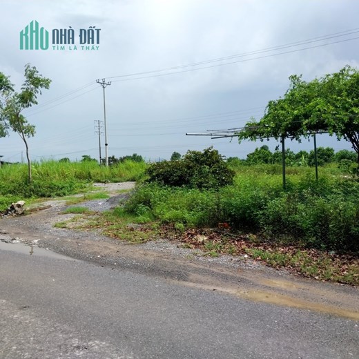 CẦN CHO THUÊ MẢNH ĐẤT MẶT ĐƯỜNG Địa chỉ: Tỉnh lộ 45, Yên Trung, Yên Định