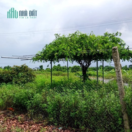 CẦN CHO THUÊ MẢNH ĐẤT MẶT ĐƯỜNG Địa chỉ: Tỉnh lộ 45, Yên Trung, Yên Định
