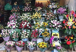 Cần sang gấp shop hoa tươi MT Tân Sơn Nhì, q. Tân Phú