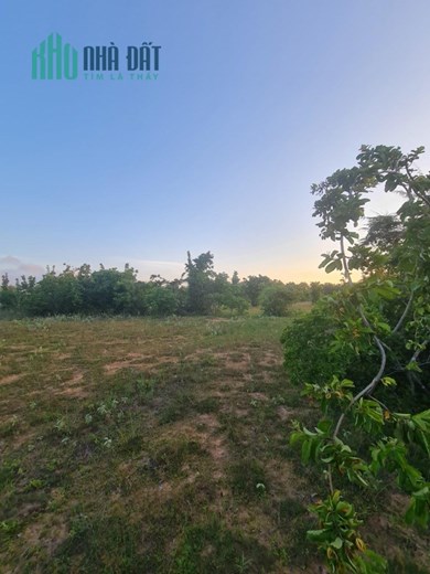 ĐẤT ĐẸP - GIÁ TỐT – Bán Gấp Lô Đất Vị Trí Đẹp Tại Xã Hồng Phong, Bắc Bình, Bình Thuận