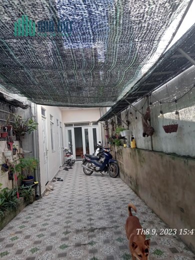 Chính Chủ Cần Bán 3 Căn Nhà Vị Trí Đẹp ( KHÁCH CÓ THỂ MUA 1 CĂN) Tại quận 12