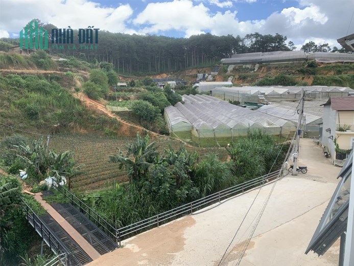 NHÀ ĐẸP - GIÁ TỐT -  Cần Bán Gấp Căn Nhà Đẹp  Vị Trí Tại  Phường 4, TP Đà Lạt, Lâm Đồng
