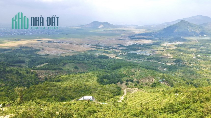 Bán 3hecta đất rừng view đẹp ở Diên Điền, Diên Khánh