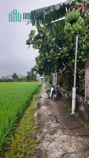 Đất nền đường Hoàng Phan Thái chợ Bình Chánh