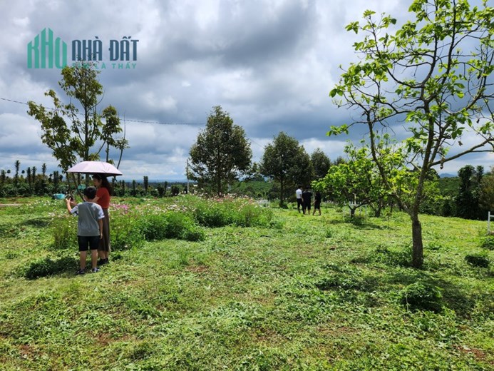 Cần bán đất xã Tân Lạc ngay resort Đôi Dép chỉ 525 triệu sổ sẵn